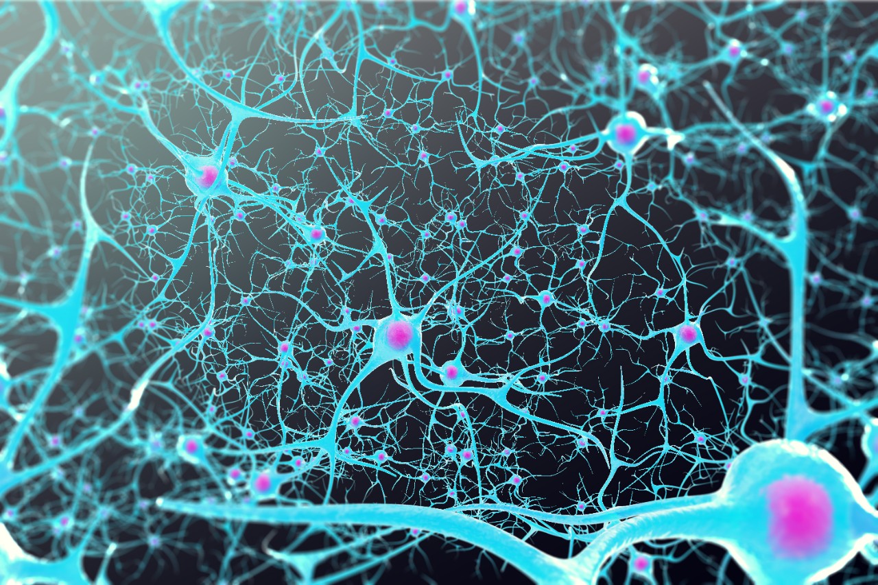 Neurons in the brain with a nucleus inside on black background 3d illustration
