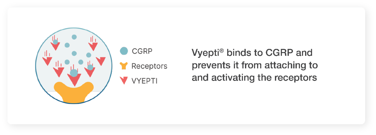 Vyepti® binds to CGRP and prevents it from attaching to and activating the receptors