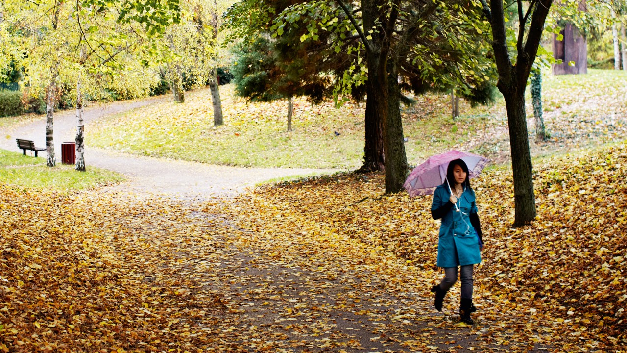 Comprendere la sindrome Lennex-Gastaut