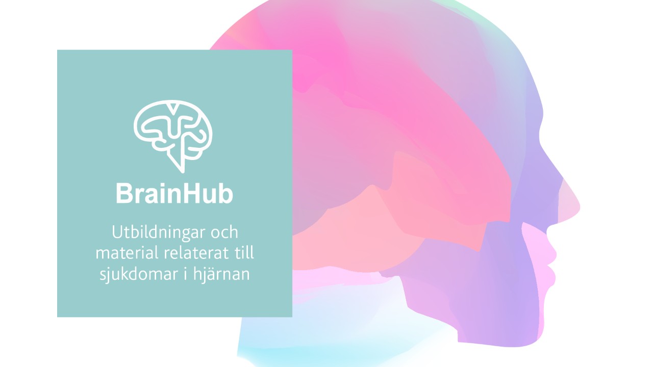 BrainHub