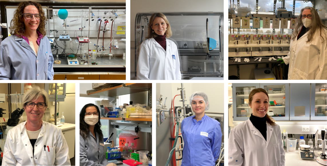 Banner_Top_Collage_2025 - 1